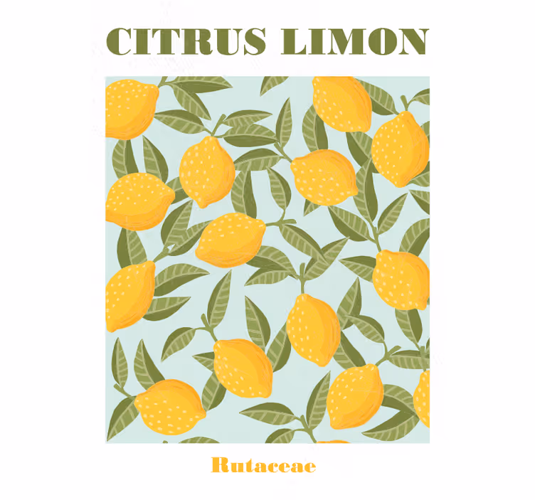 Lemon fruit kitchen roller blind - TenStickers