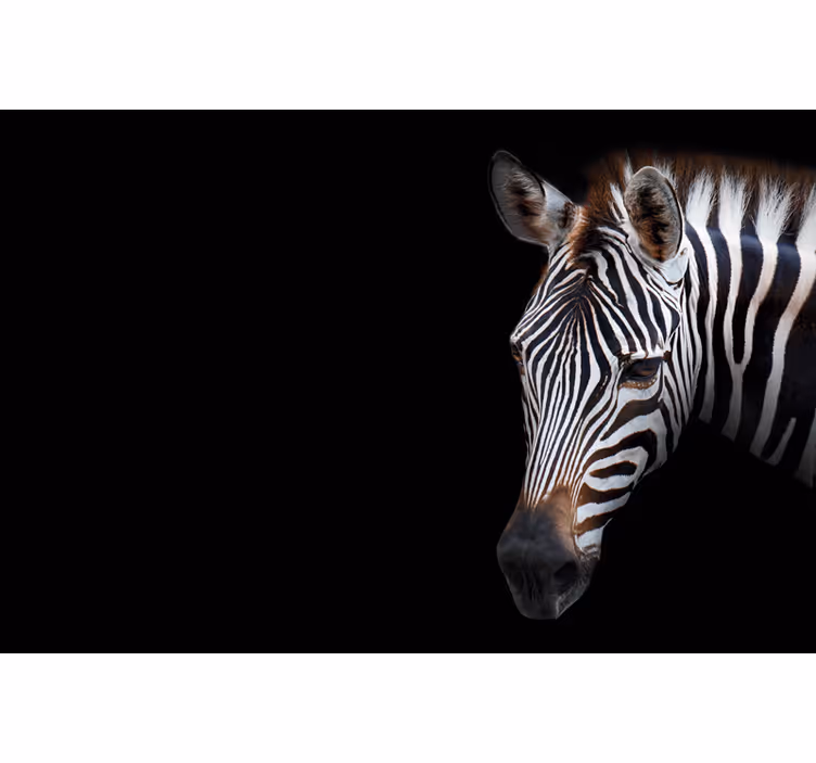 Black roller blind zebra print - TenStickers