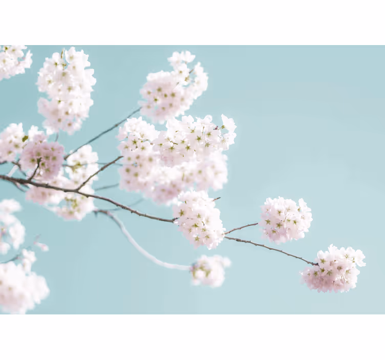 Blind bedroom elegant and feminine white floral design - TenStickers
