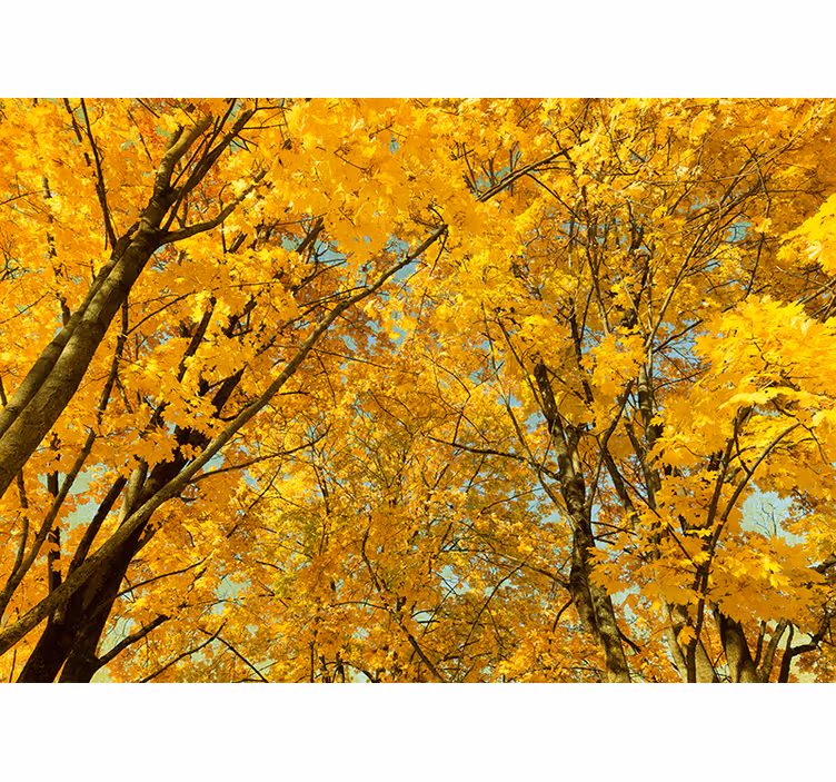 Blind bedroom in yellow autumn leaves - TenStickers