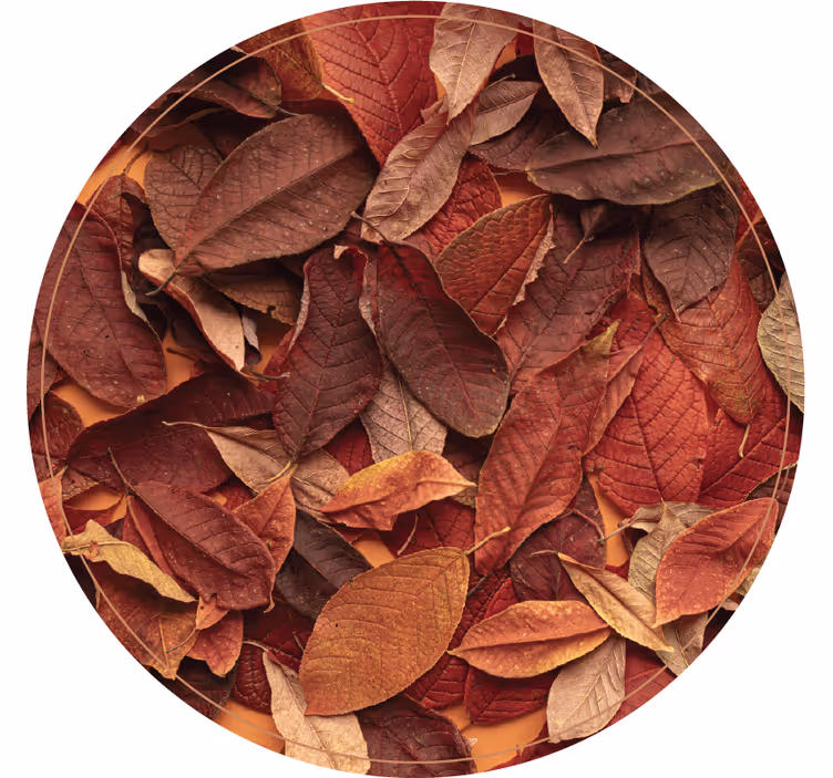 Blind bedroom autumnal dark floor - TenStickers