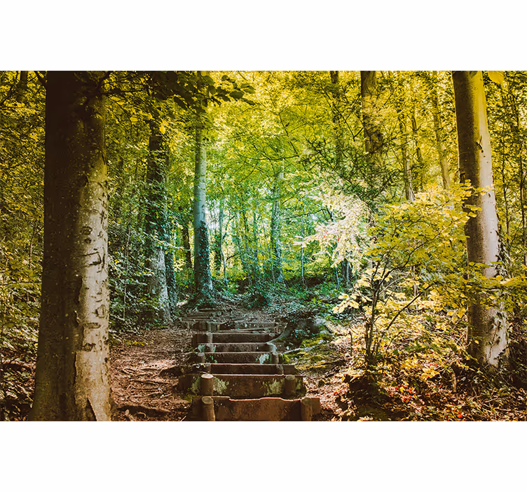 Living room blind stairway path design - TenStickers