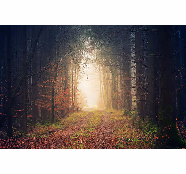 Living room blind autumn path - TenStickers