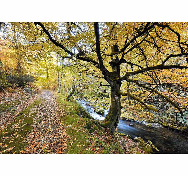 Living room blind muniellos forest and river - TenStickers
