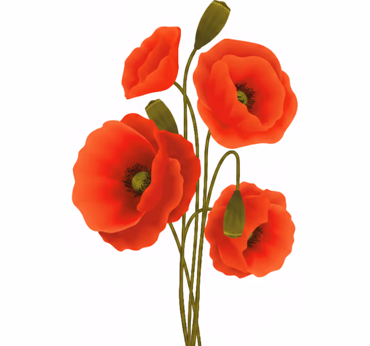 Floral roller blind with poppies design - TenStickers