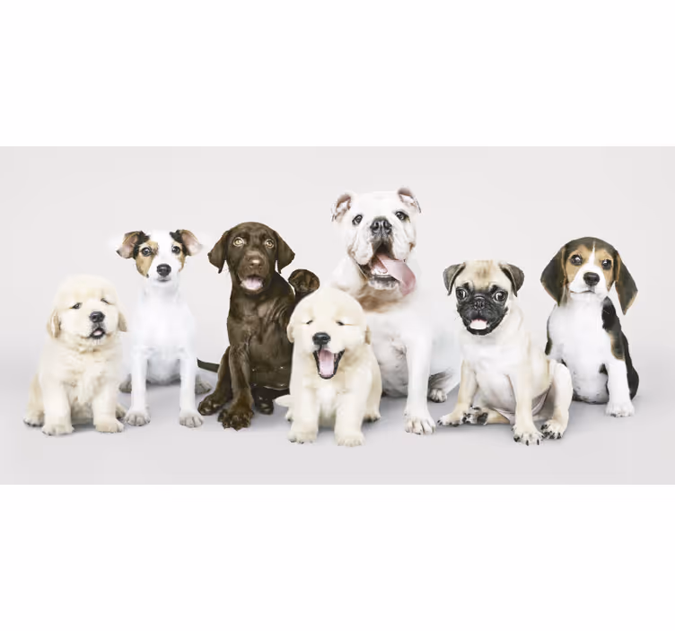 Animals blind photography of dog puppies - TenStickers