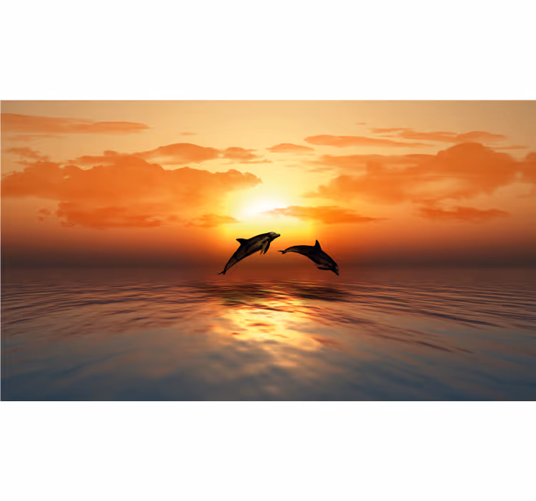 Bathroom blind 3d swimming dolphins - TenStickers