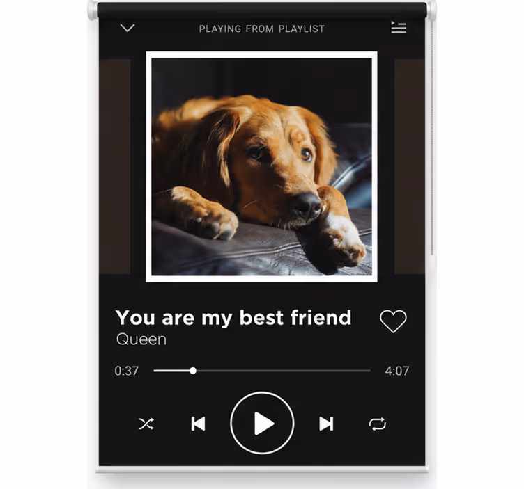 Blind teens customizable music player - TenStickers