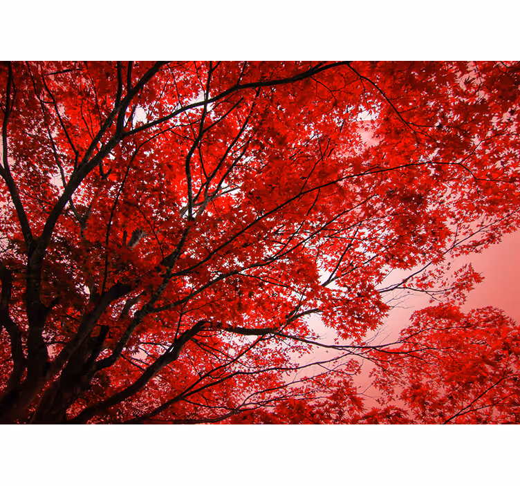 Red blind with red branches design - TenStickers
