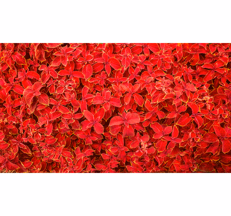 Red blind with floral petal pattern - TenStickers