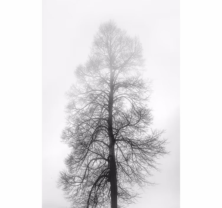 Scale tree grey kitchen blind - TenStickers