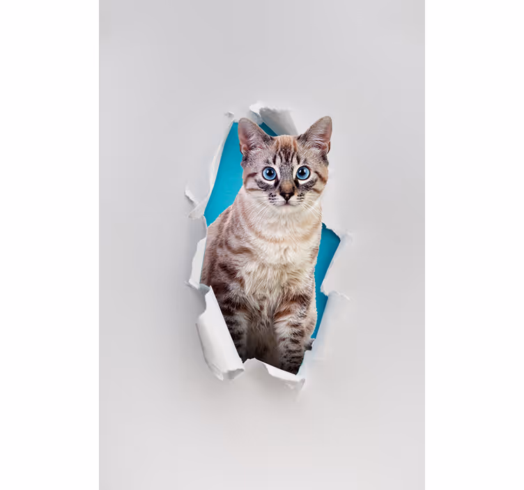 Cat various animals modern kitchen blind - TenStickers