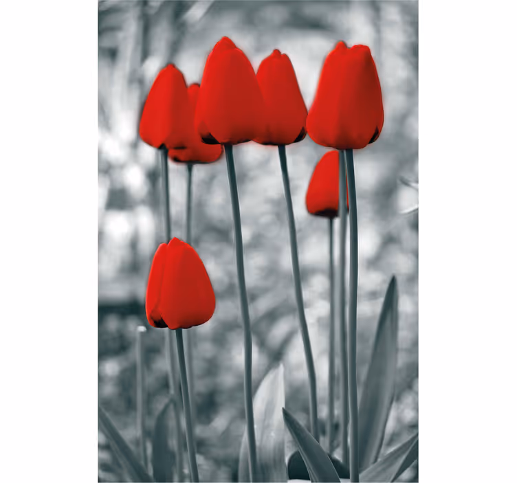Red tulips colourful Flower blind - TenStickers