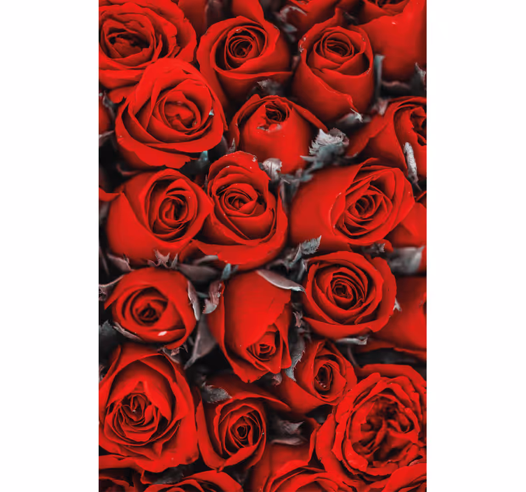 Red roses romantic flower kitchen blind - TenStickers