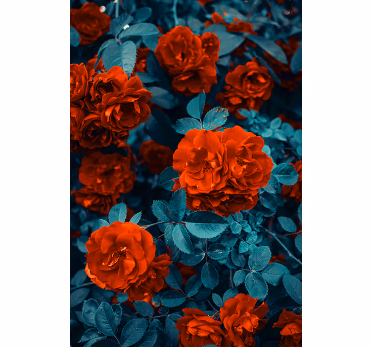 Vibrant Blooming Roses blind flowers and plants - TenStickers