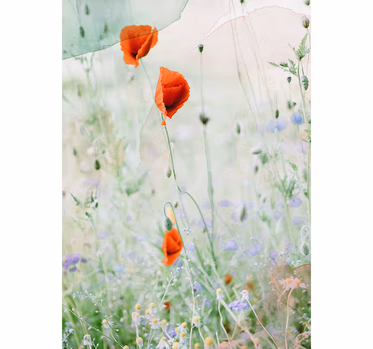 Smudged away red poppies Flower dining room roller blind - TenStickers
