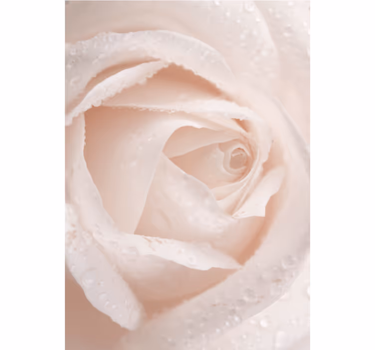 Delicate Rose Petal floral roller blind - TenStickers