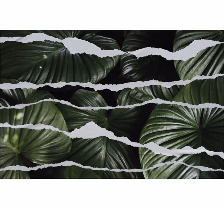Torn leaf patterns kitchen roller blind - TenStickers