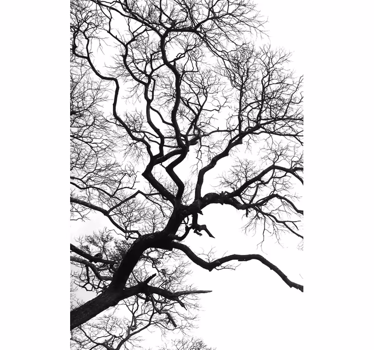 Single wood branch rupture grey kitchen blind painting - TenStickers