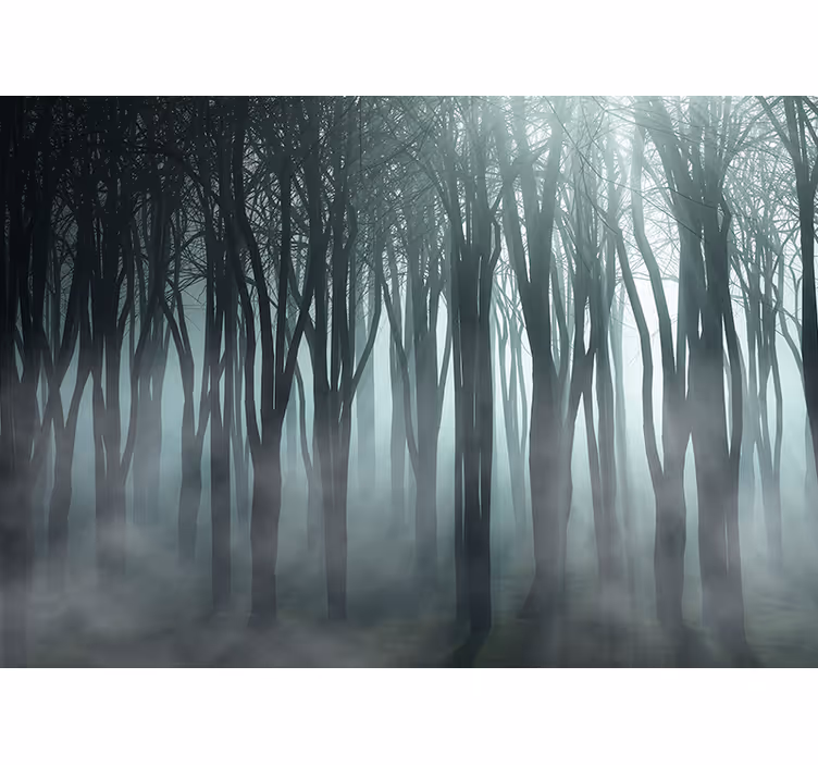 Misty Forest Silhouette tree blind - TenStickers