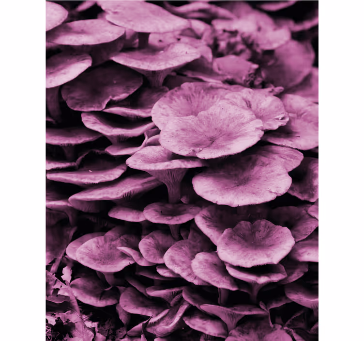 Vibrant Floral Layers blind flowers and plants - TenStickers