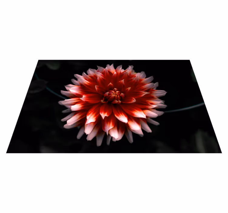 Original placemat crispy seaweed platter - TenStickers