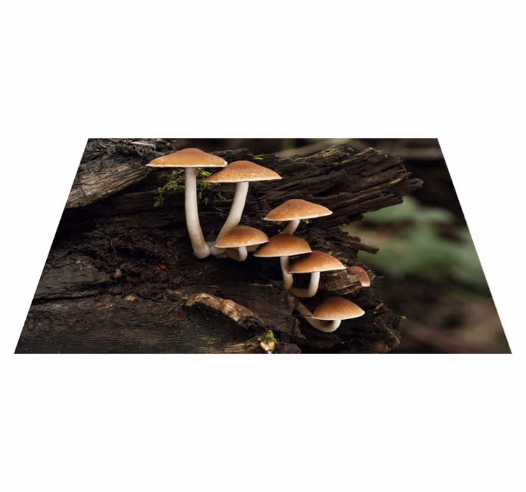 Original placemat mushroom cluster portrait - TenStickers