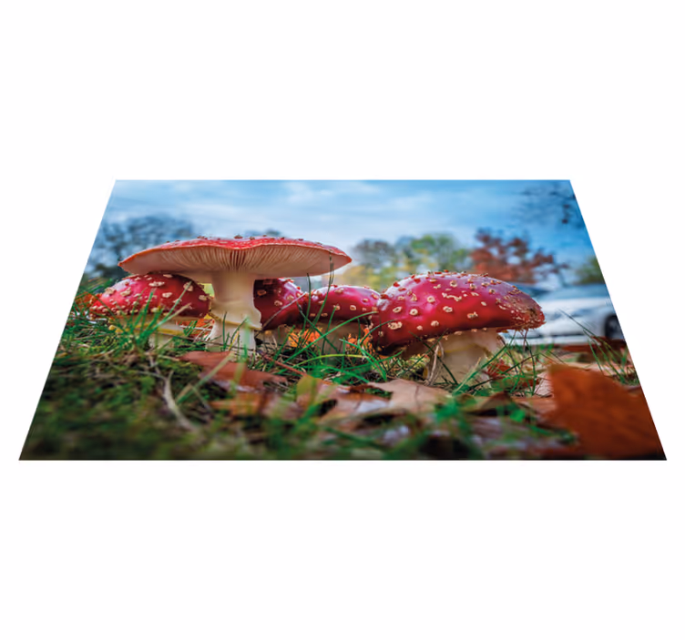 Modern placemat mushroom culinary design - TenStickers