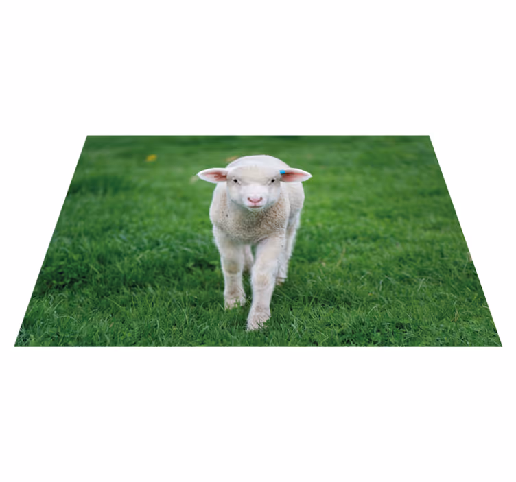 Little lamb children placemats - TenStickers
