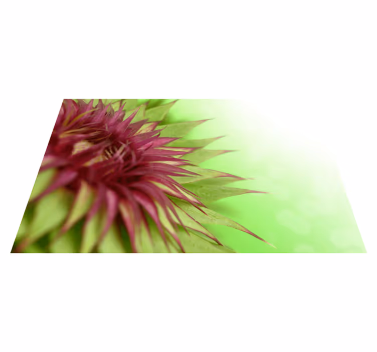 Thistle Plant Flower Placemats - TenStickers