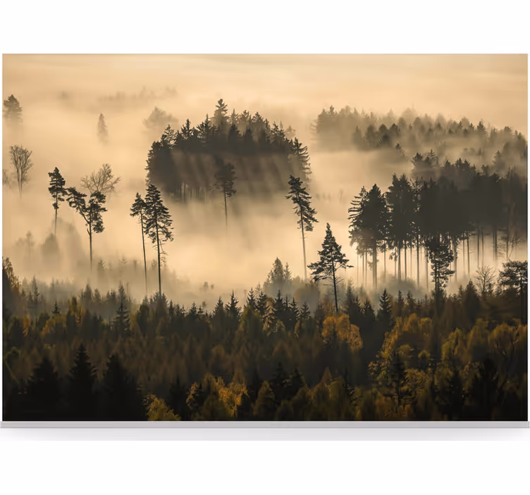 Forest wallpaper ethereal morning mist - TenStickers