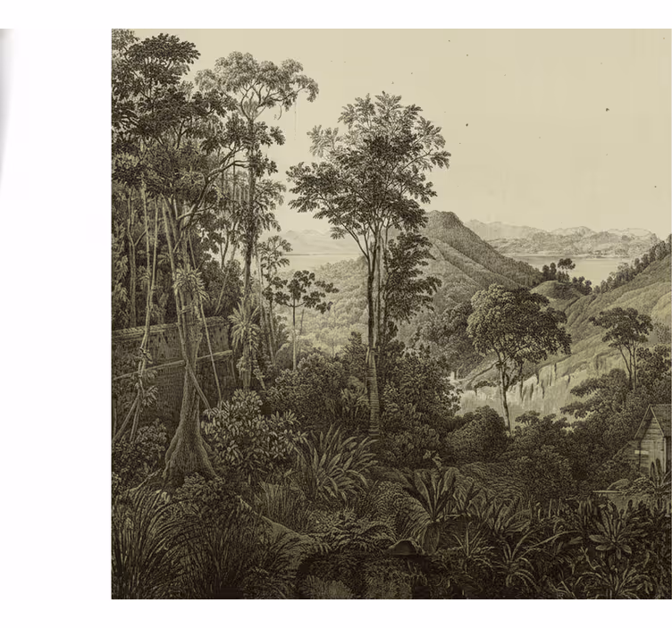 Forest wallpaper hilly forest design - TenStickers