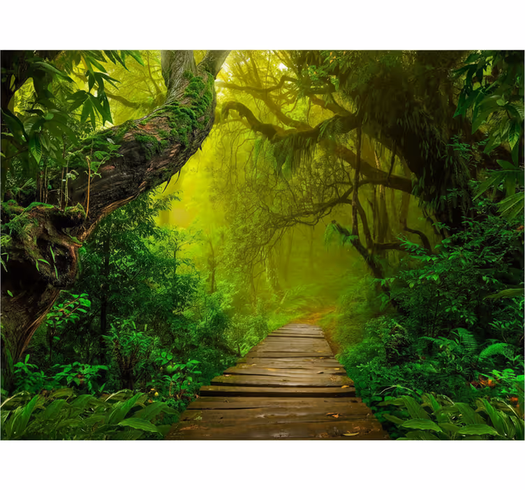 Forest wallpaper mystic forest path - TenStickers