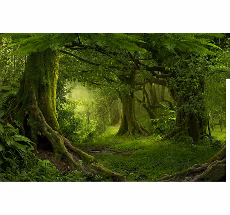 Forest wallpaper lush woodland retreat - TenStickers