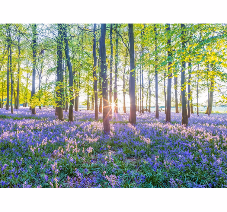 Forest wallpaper inspired by nature's modernism - TenStickers