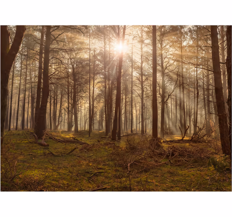 Forest wallpaper golden wildlife retreat - TenStickers