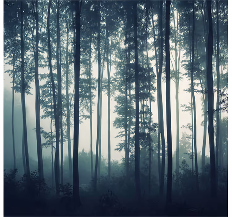 Forest wallpaper painted forest serenity - TenStickers