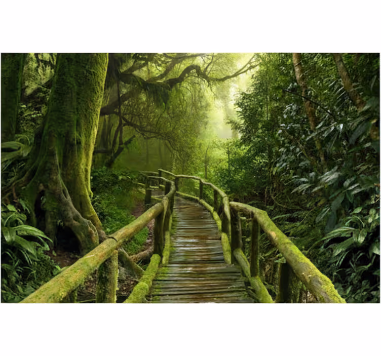 Forest wallpaper lush mossy boardwalk - TenStickers