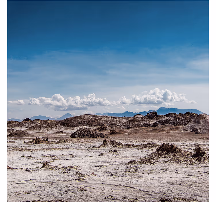 Desert wall mural in desert aesthetic colors - TenStickers
