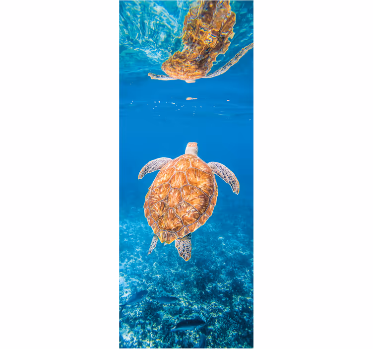 Wall mural bathroom beautiful turtle underwater - TenStickers