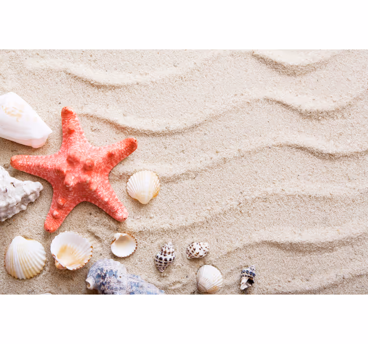 Starfish and shells on sand wall mural bathroom - TenStickers
