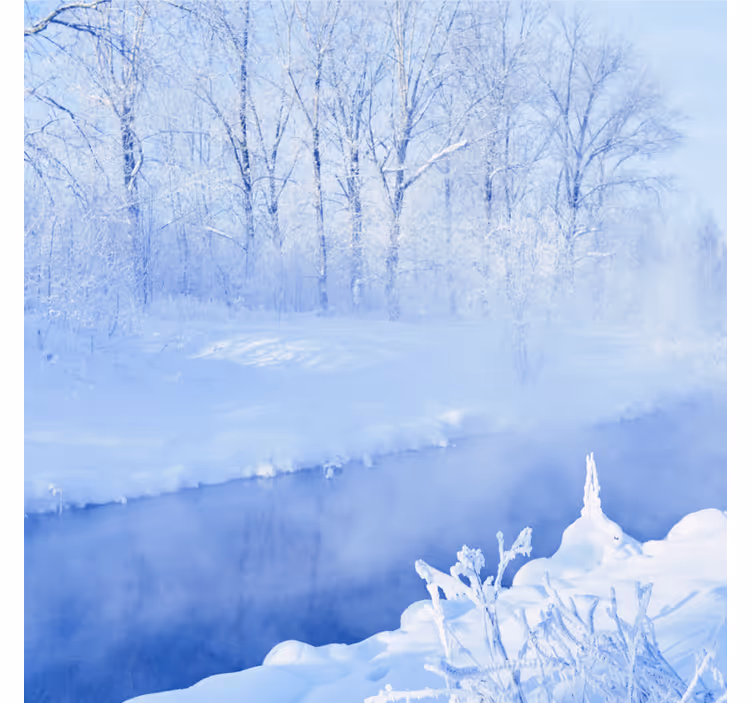 Wall mural blue white frozen trees and river - TenStickers
