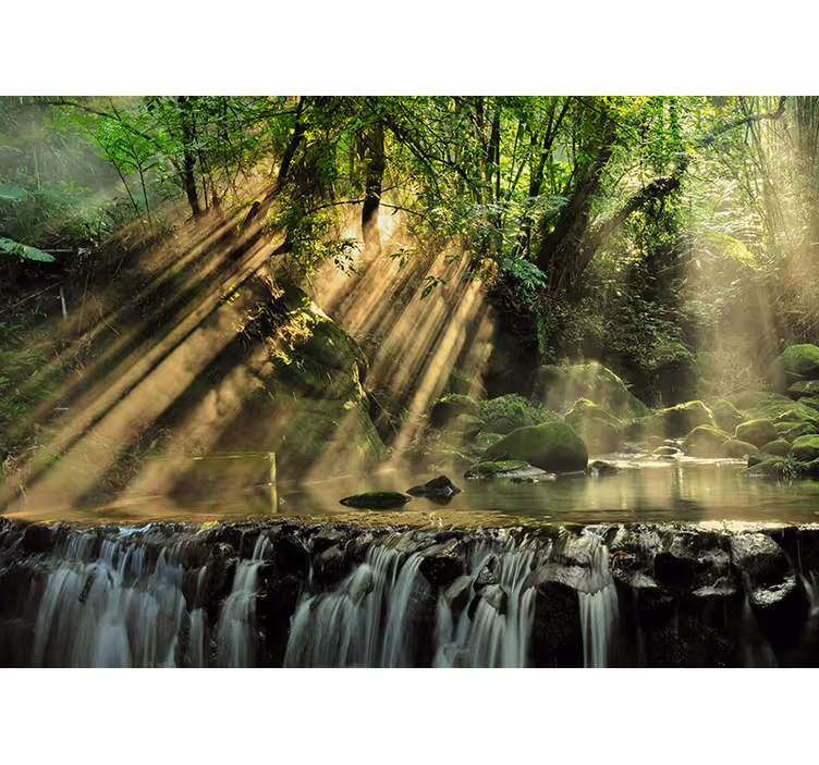 Green wall mural sunlit forest waterfall - TenStickers