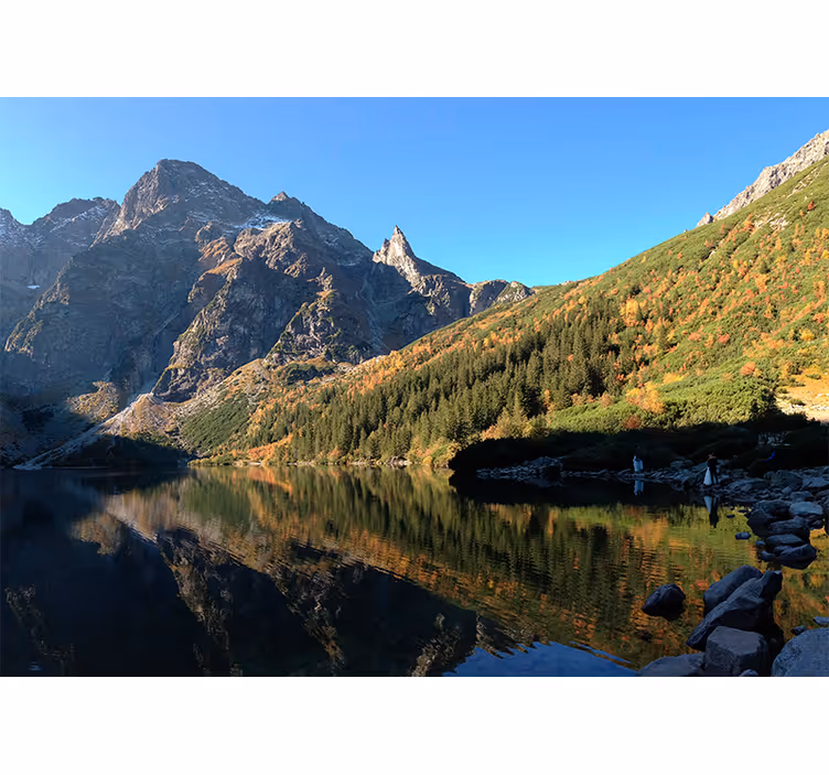 Green wall mural morskie oko in spring - TenStickers