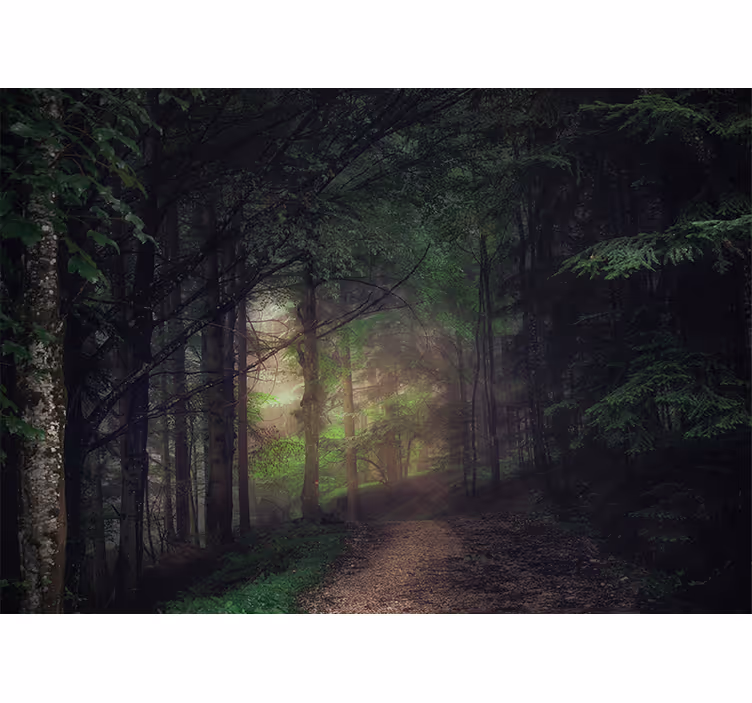 Hallway wall mural old-growth forest scene - TenStickers