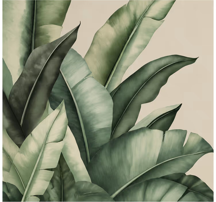 Nature wallpaper banana leaf simple graphic - TenStickers