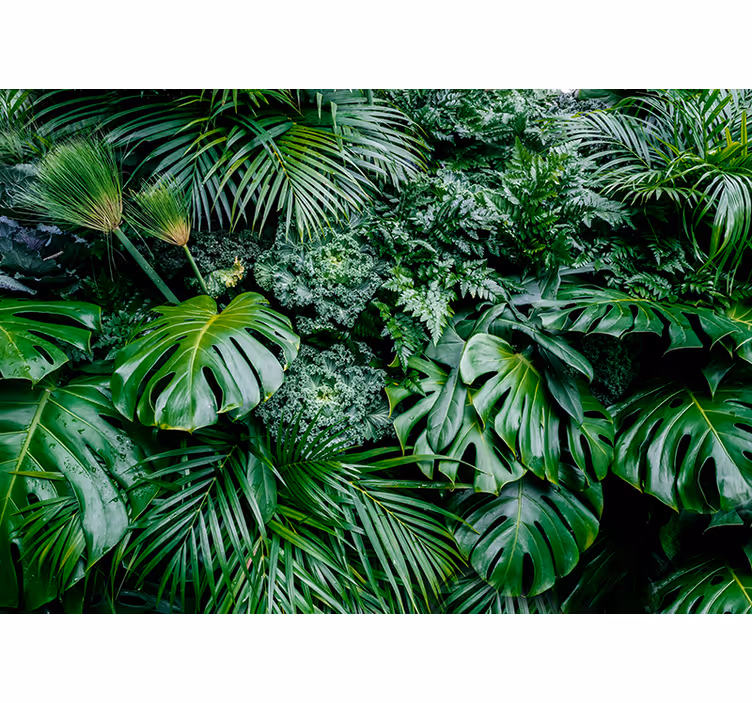 Jungle plants 3D living room wallpaper - TenStickers