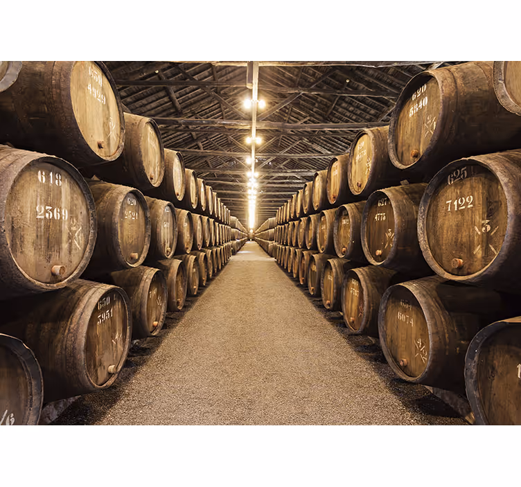 Wine cellar corridor wall mural vintage - TenStickers