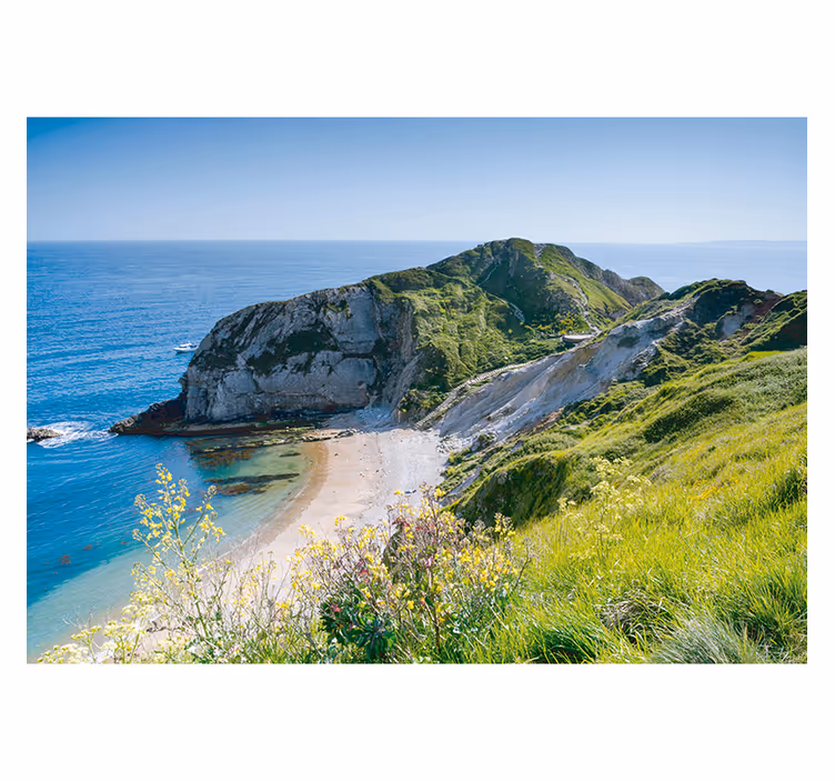 Nature wall mural Dorset coast - TenStickers