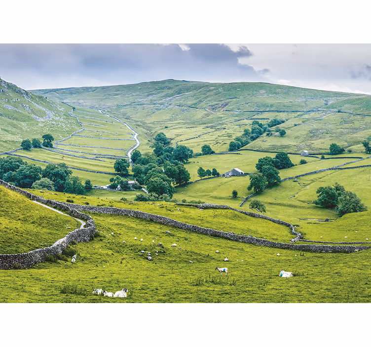 English countryside living room wallpaper - TenStickers